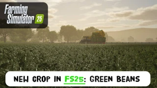 Green Beans in Farming Simulator 25: A New Crop - FS25