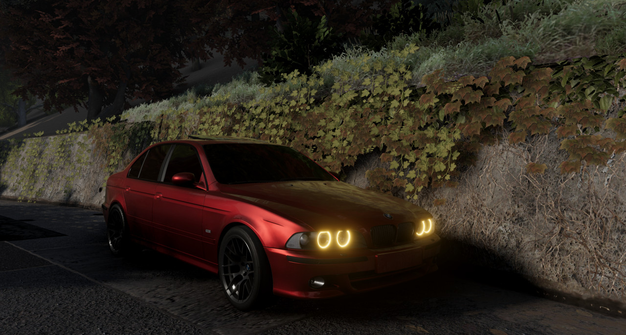 1995 - 2004 BMW E39