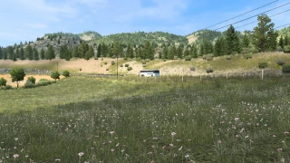 New Summer v3.6 thumbnail 4