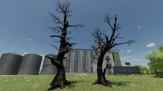 Dead Trees v 1.0 thumbnail 2