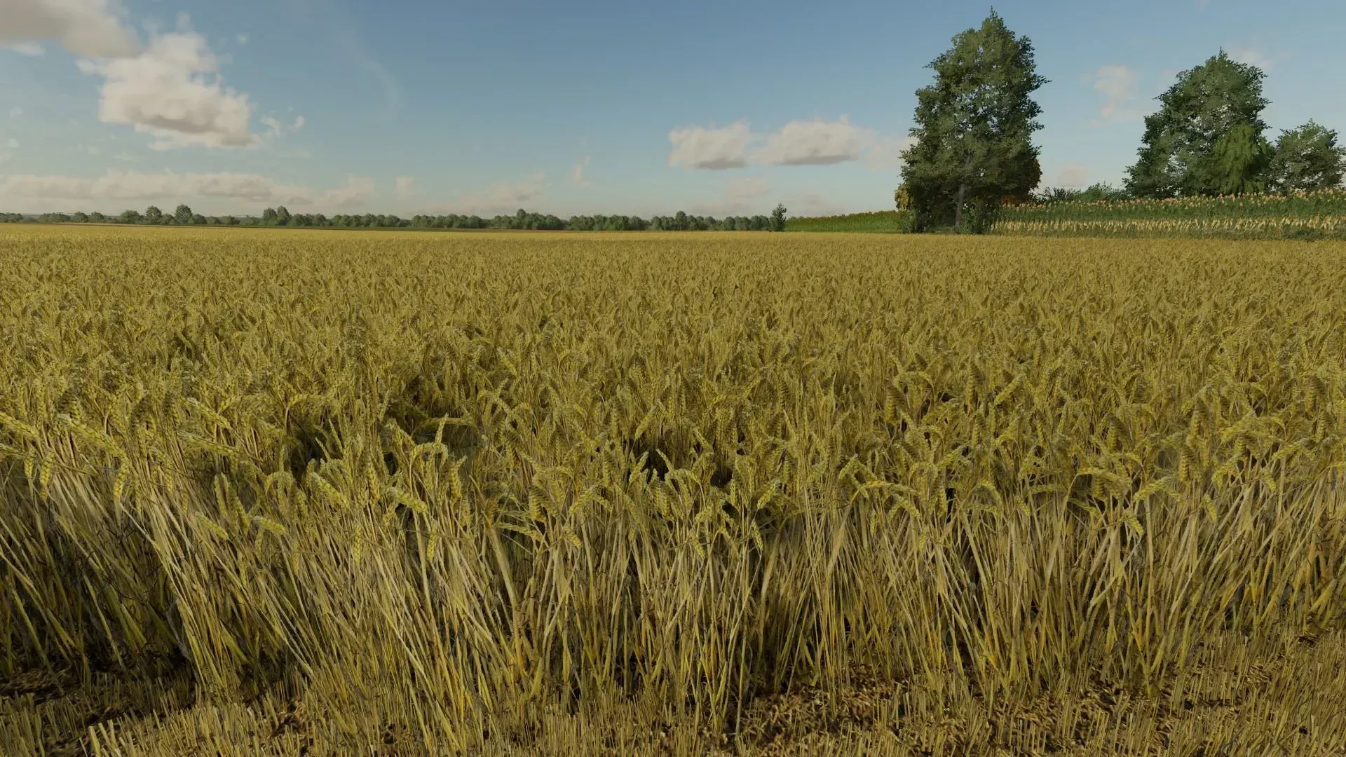 Wheat Texture v 1.0.1