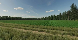 Liski Map v 3.0 thumbnail 10