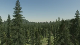 Mt Muller, BC v 2.0 thumbnail 6