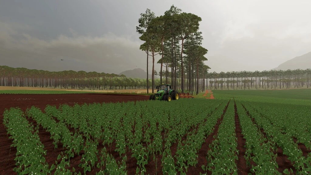 Junges Farm v 1.0