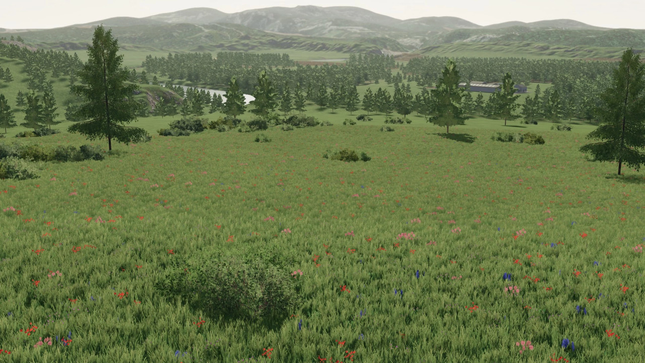 Longhorn Valley Ranch