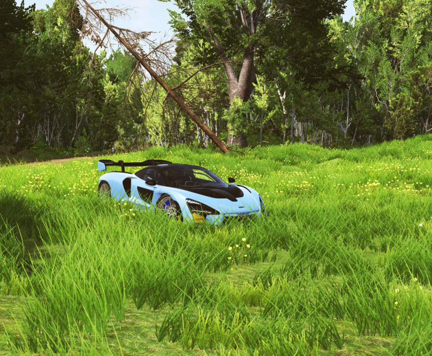 McLaren Senna (NEW)