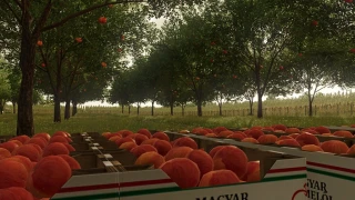 Újrét Map v 1.1 thumbnail 11