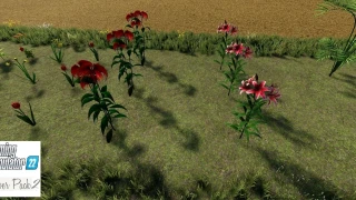 Flower Pack v 1.0 thumbnail 8