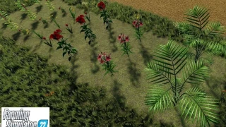 Flower Pack v 1.0 thumbnail 7