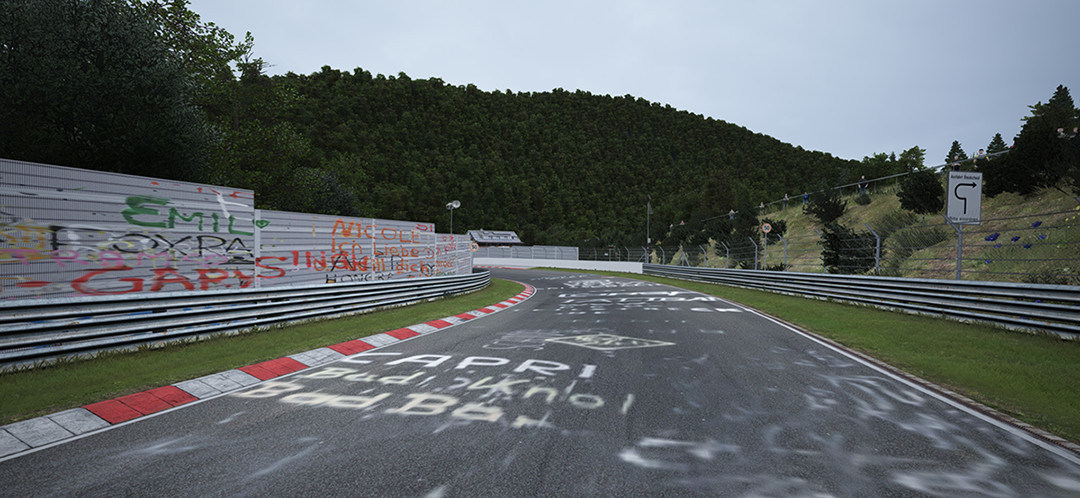 TreeFX for Nordschleife - 3D Trees image 3