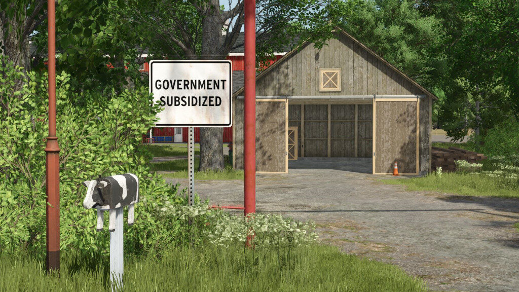 Government Subsidy