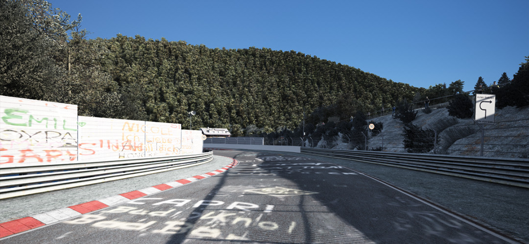 TreeFX for Nordschleife - 3D Trees image 4