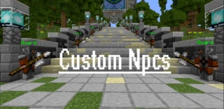 Custom NPCs mod