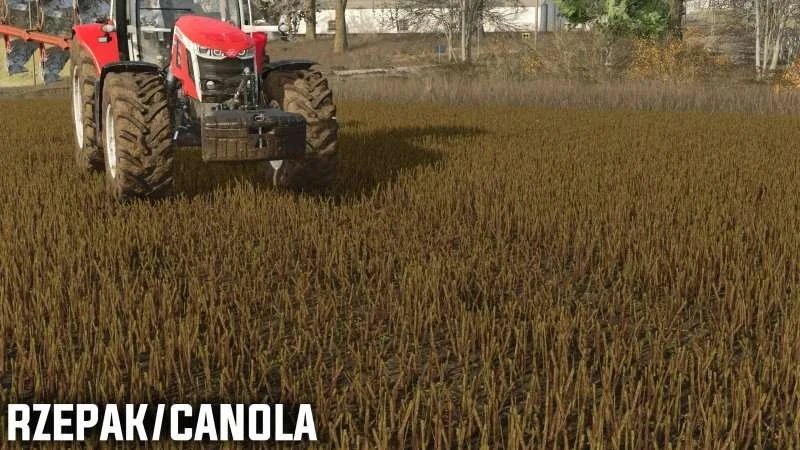 Pressed stubble v1.0