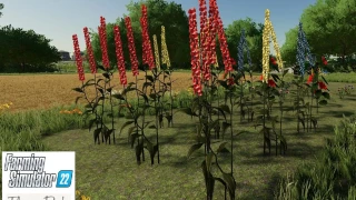 Flower Pack v 1.0 thumbnail 4