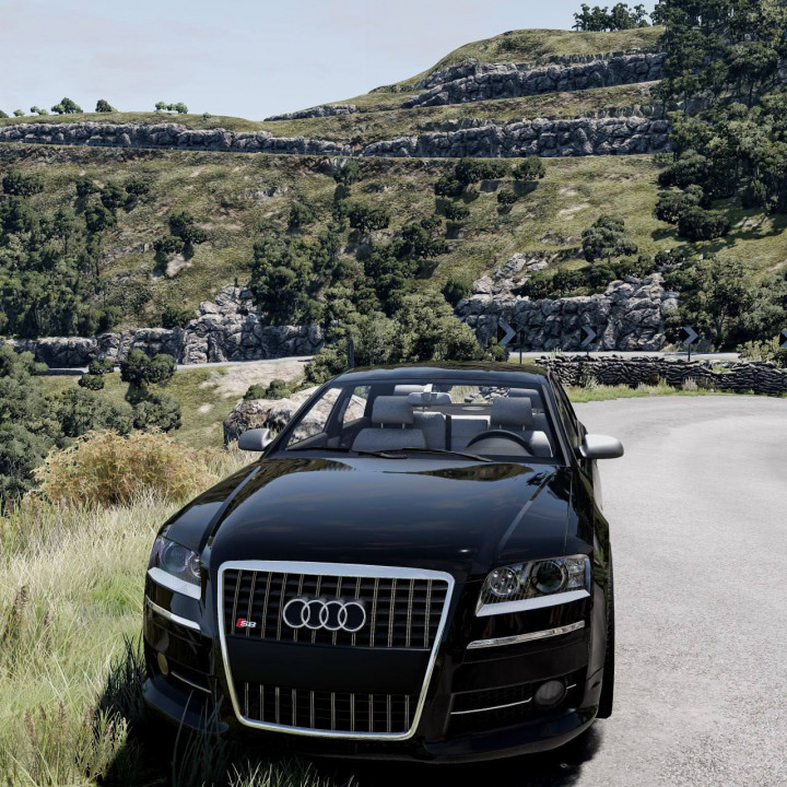 Audi S8 D3