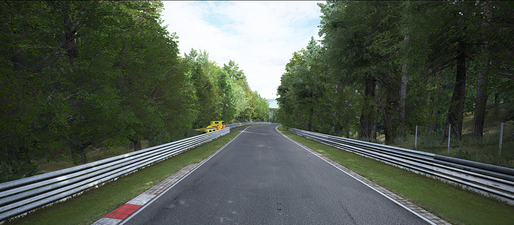TreeFX for Nordschleife - 3D Trees image 2