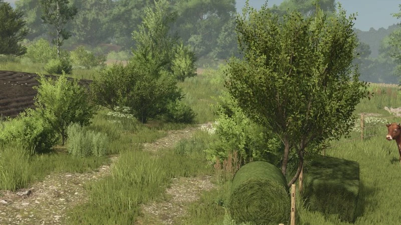 Bush TEXTURE (DECOBUSH) v 1.0
