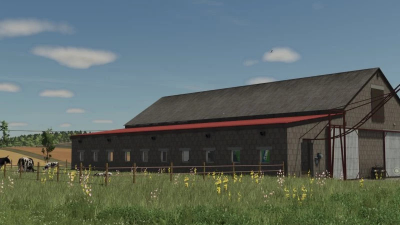 Cows Barn With Manure Spliter