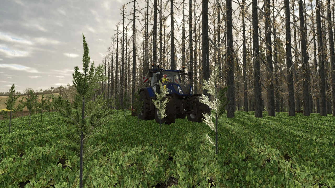 Fs25 моды карты