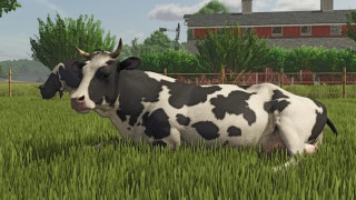 Mod Image