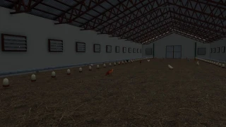 Big Chicken Barn