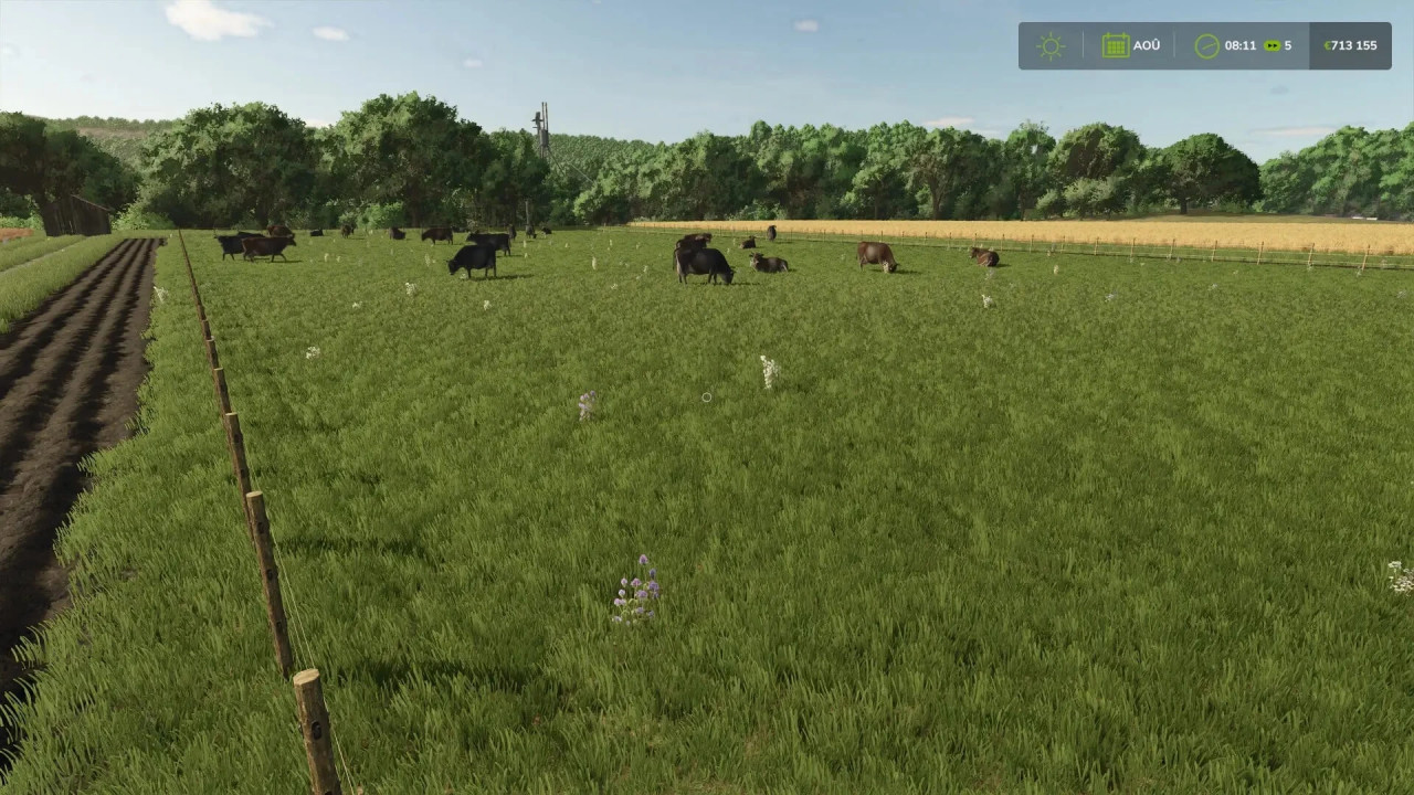 Cow Pen