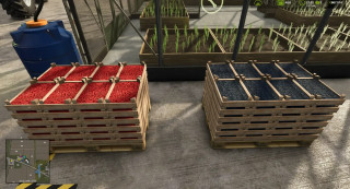 Mod Image