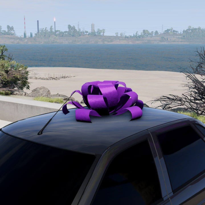 Car Bows