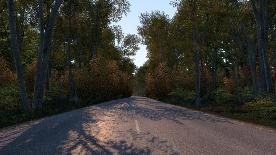 Early Autumn